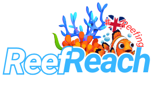 Reef Reach Logo